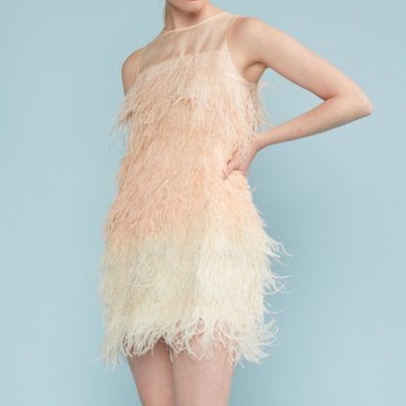 Cynthia Rowley Kitty Pink Ombre Feather Dress - NWT - Size L - Picture 5 of 6
